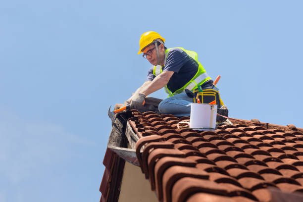 Steel Roofing